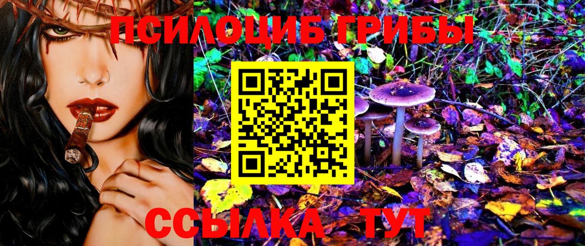 Галлюциногенные грибы GOLDEN TEACHER Сокол