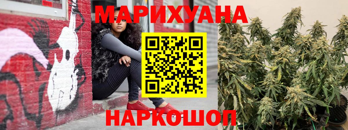 Каннабис индика Сокол